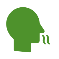 Icon Gerüche