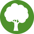 Icon Baum