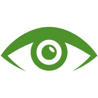 Icon Auge